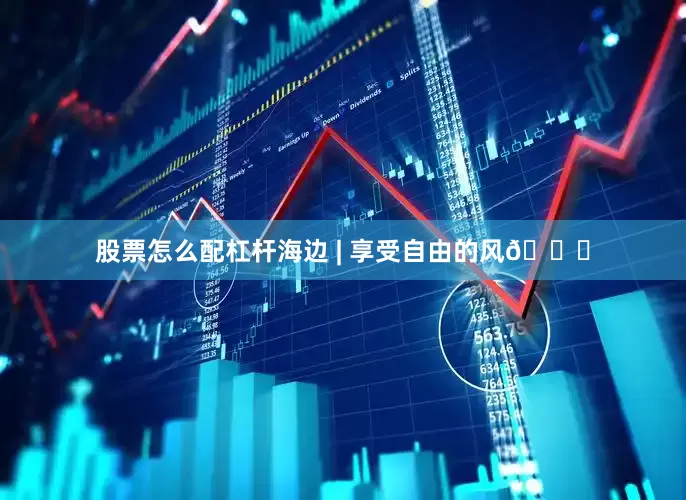 股票怎么配杠杆海边 | 享受自由的风🌊