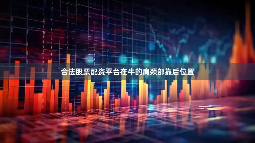 合法股票配资平台在牛的肩颈部靠后位置